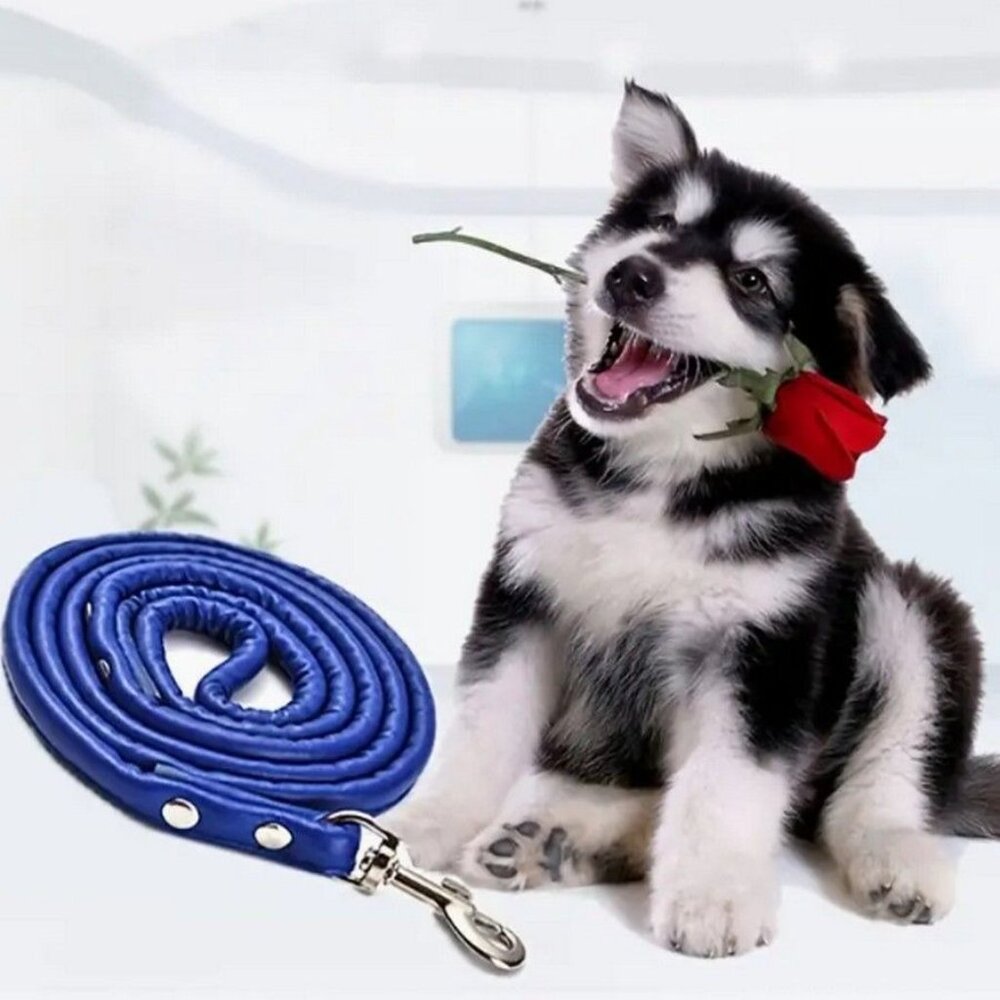 Xander Rey Dark Blue Leather Dog Leash Gift Packaged - Picture 4 of 9